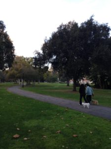 Holmby Park in Holmby Hills in Westwood