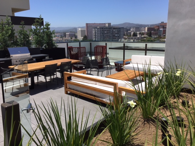 Rooftop at the Liddel condominiums